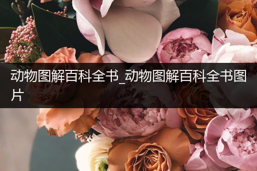 动物图解百科全书_动物图解百科全书图片