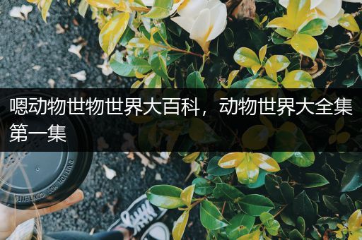 嗯动物世物世界大百科，动物世界大全集第一集