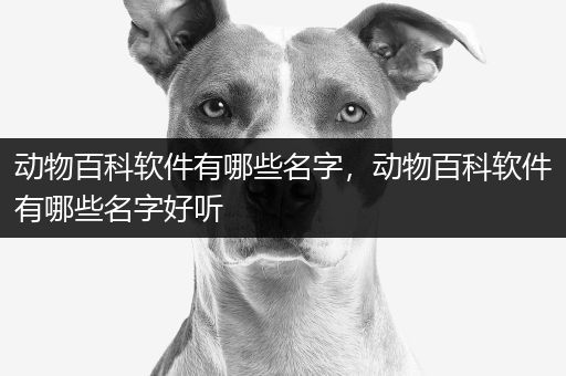 动物百科软件有哪些名字，动物百科软件有哪些名字好听