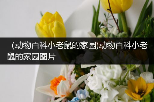 （动物百科小老鼠的家园)动物百科小老鼠的家园图片