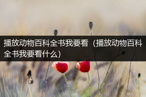播放动物百科全书我要看（播放动物百科全书我要看什么）