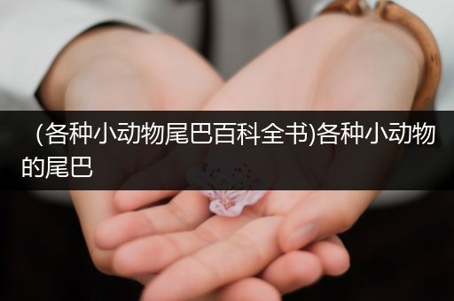（各种小动物尾巴百科全书)各种小动物的尾巴