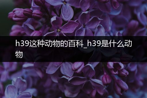 h39这种动物的百科_h39是什么动物