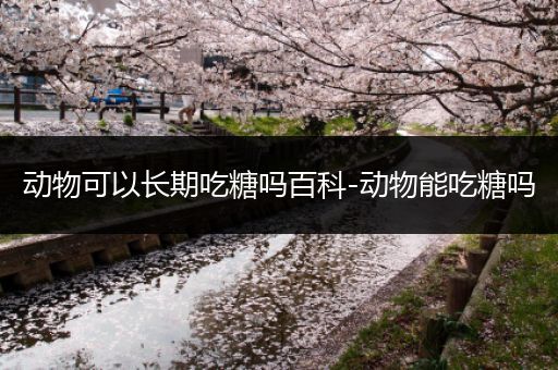 动物可以长期吃糖吗百科-动物能吃糖吗