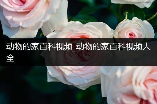 动物的家百科视频_动物的家百科视频大全