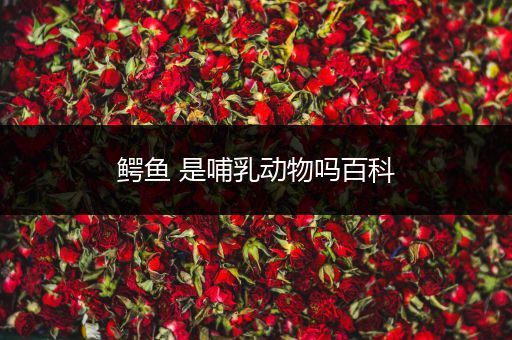 鳄鱼 是哺乳动物吗百科