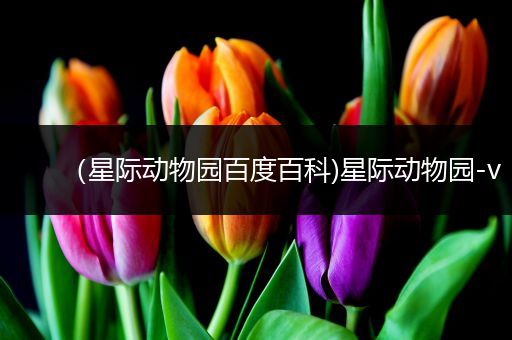 （星际动物园百度百科)星际动物园-v