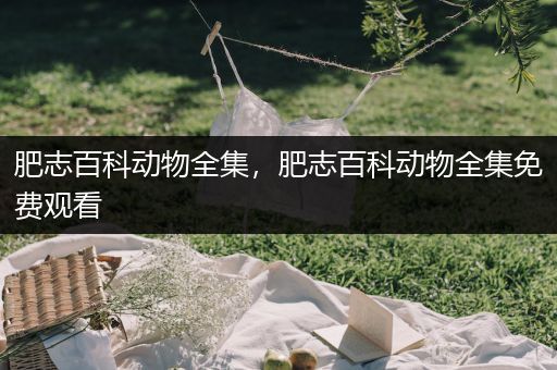 肥志百科动物全集，肥志百科动物全集免费观看