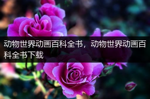 动物世界动画百科全书，动物世界动画百科全书下载
