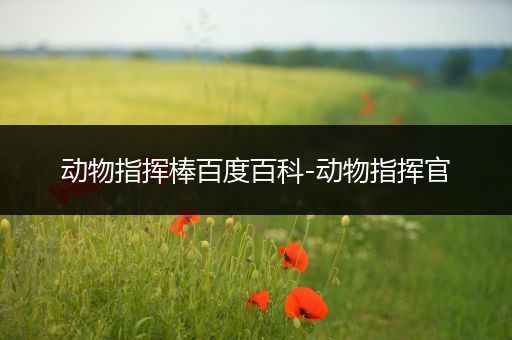 动物指挥棒百度百科-动物指挥官