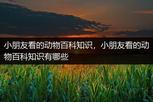 小朋友看的动物百科知识，小朋友看的动物百科知识有哪些