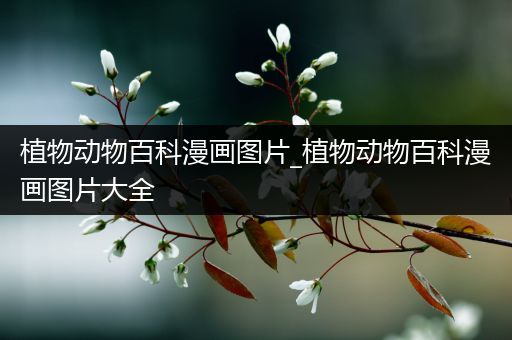 植物动物百科漫画图片_植物动物百科漫画图片大全