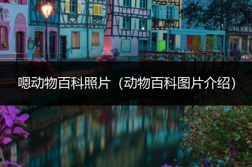 嗯动物百科照片（动物百科图片介绍）