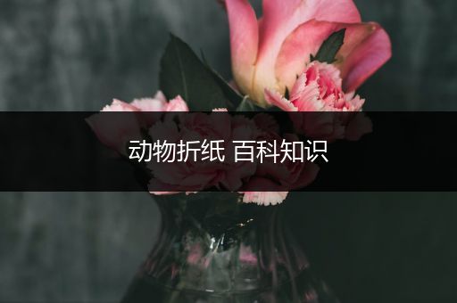 动物折纸 百科知识