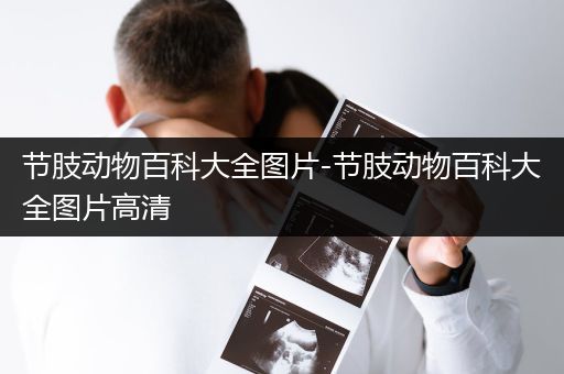 节肢动物百科大全图片-节肢动物百科大全图片高清