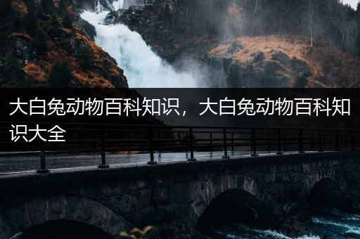 大白兔动物百科知识，大白兔动物百科知识大全