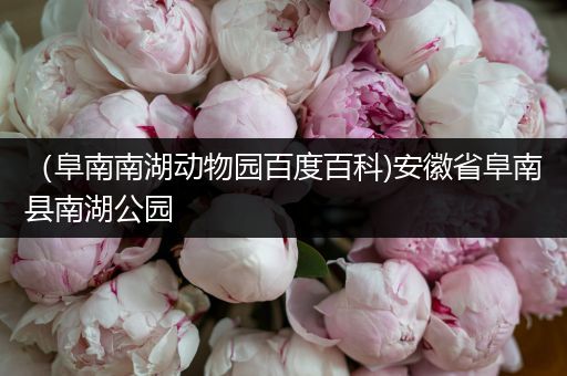 （阜南南湖动物园百度百科)安徽省阜南县南湖公园