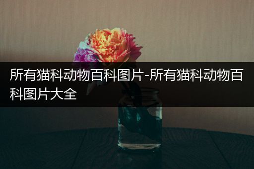 所有猫科动物百科图片-所有猫科动物百科图片大全