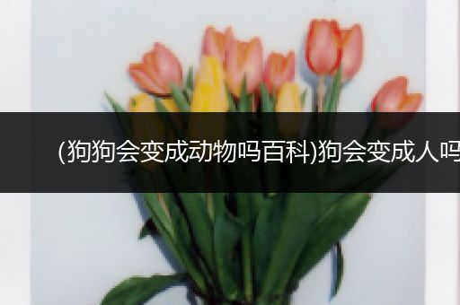 （狗狗会变成动物吗百科)狗会变成人吗
