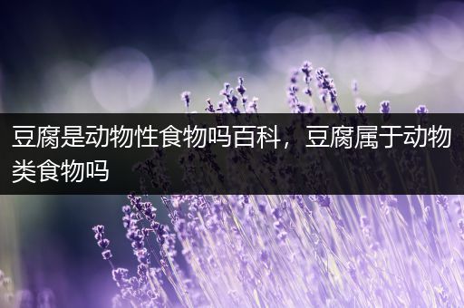 豆腐是动物性食物吗百科，豆腐属于动物类食物吗