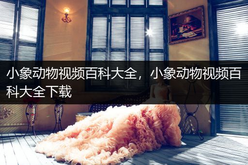 小象动物视频百科大全，小象动物视频百科大全下载