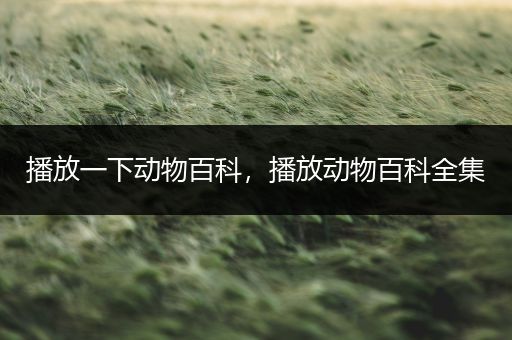 播放一下动物百科，播放动物百科全集
