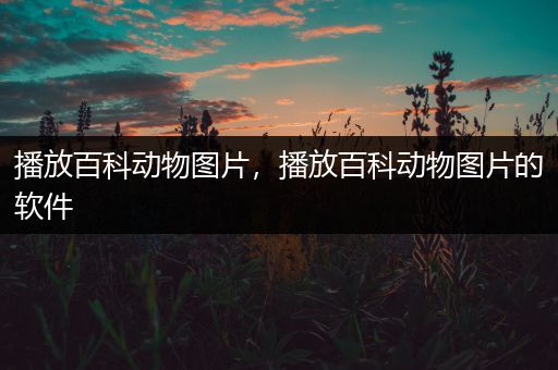 播放百科动物图片，播放百科动物图片的软件