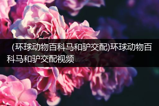 （环球动物百科马和驴交配)环球动物百科马和驴交配视频