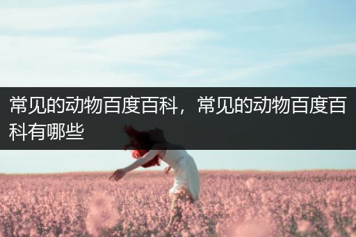 常见的动物百度百科，常见的动物百度百科有哪些