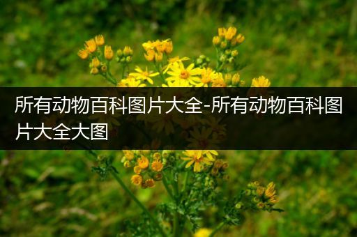 所有动物百科图片大全-所有动物百科图片大全大图