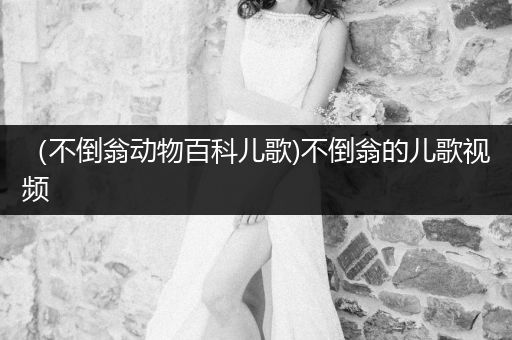 （不倒翁动物百科儿歌)不倒翁的儿歌视频