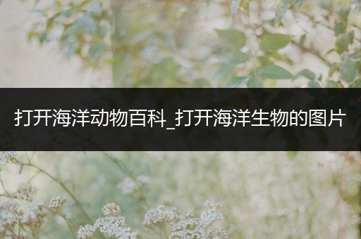 打开海洋动物百科_打开海洋生物的图片