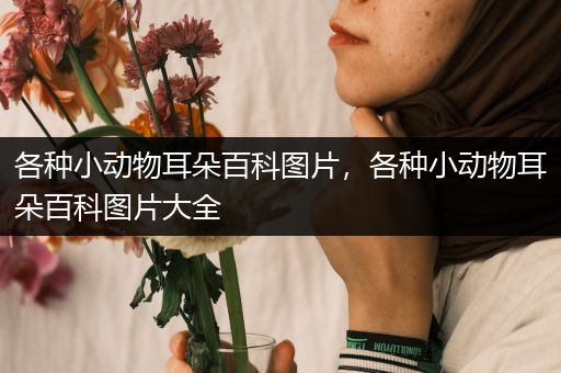 各种小动物耳朵百科图片，各种小动物耳朵百科图片大全