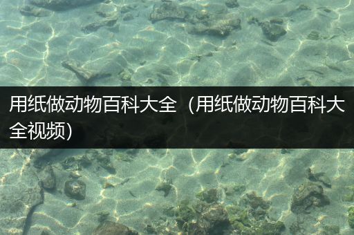 用纸做动物百科大全（用纸做动物百科大全视频）