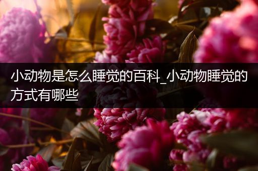 小动物是怎么睡觉的百科_小动物睡觉的方式有哪些