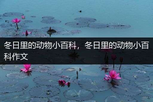 冬日里的动物小百科，冬日里的动物小百科作文
