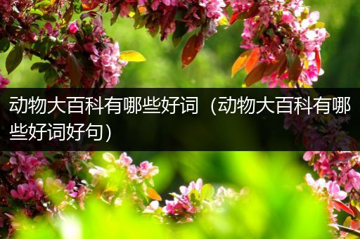 动物大百科有哪些好词（动物大百科有哪些好词好句）