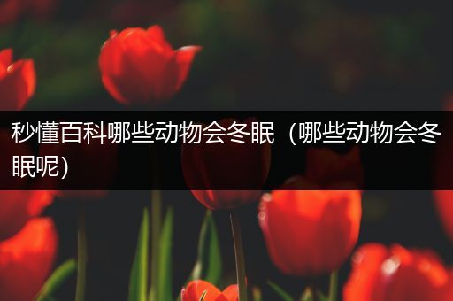 秒懂百科哪些动物会冬眠（哪些动物会冬眠呢）
