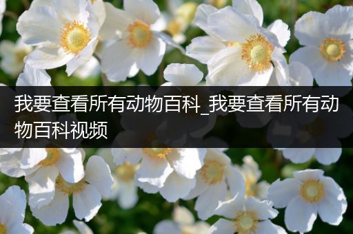 我要查看所有动物百科_我要查看所有动物百科视频