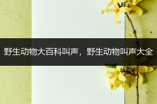 野生动物大百科叫声，野生动物叫声大全