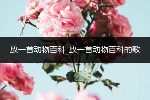 放一首动物百科_放一首动物百科的歌