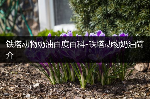铁塔动物奶油百度百科-铁塔动物奶油简介