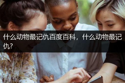 什么动物最记仇百度百科，什么动物最记仇?