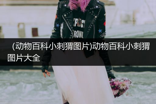 （动物百科小刺猬图片)动物百科小刺猬图片大全