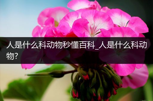 人是什么科动物秒懂百科_人是什么科动物?