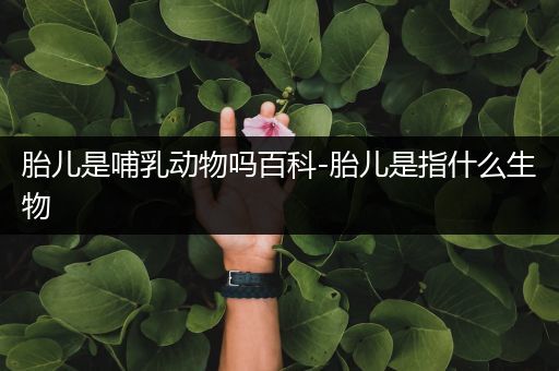 胎儿是哺乳动物吗百科-胎儿是指什么生物