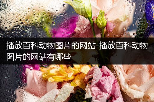 播放百科动物图片的网站-播放百科动物图片的网站有哪些