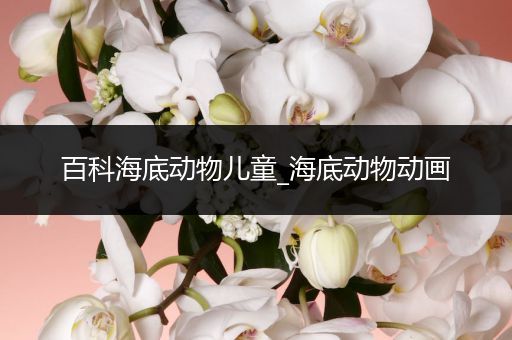 百科海底动物儿童_海底动物动画