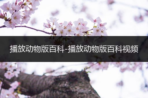 播放动物版百科-播放动物版百科视频