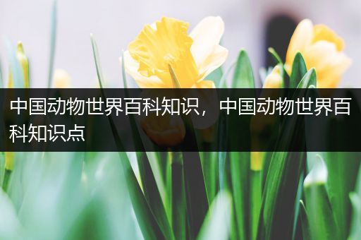 中国动物世界百科知识，中国动物世界百科知识点